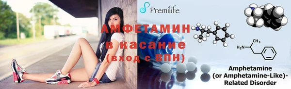 прущие грибы Магас