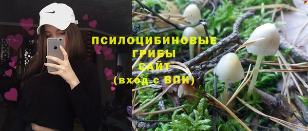 мяу мяу мука Алзамай