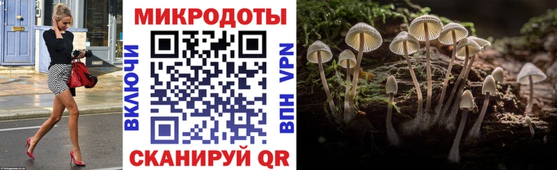 Псилоцибиновые грибы мухоморы  закладка  Сухой Лог 